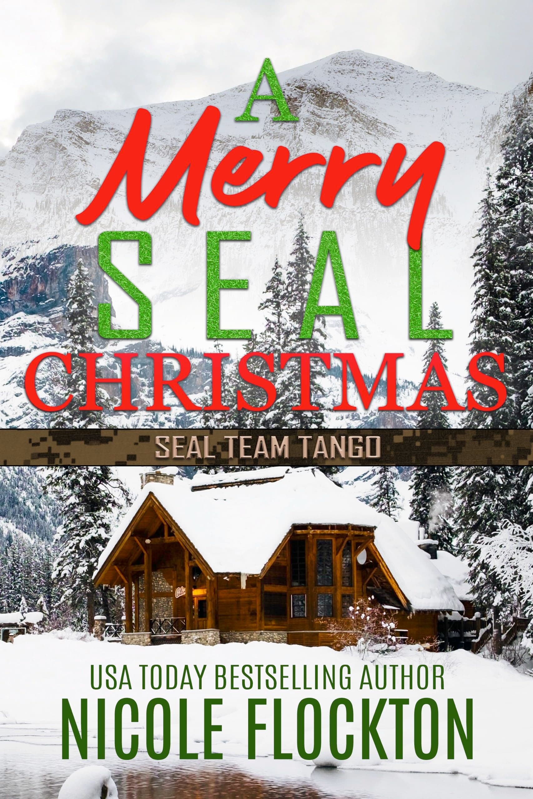 A Merry SEAL Christmas: A SEAL Team Tango Story