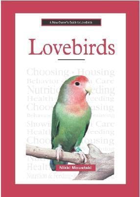 A New Owner's Guide to Lovebirds
