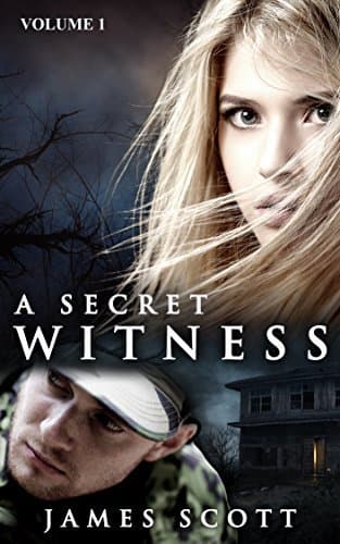 A Secret Witness: Volume 1