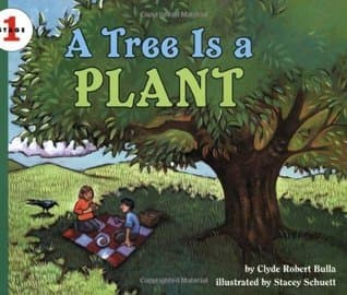 A Tree Is a Plant