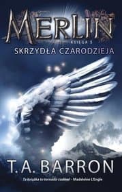 Skrzydła czarodzieja
