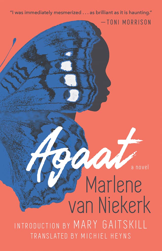 Agaat: A Novel