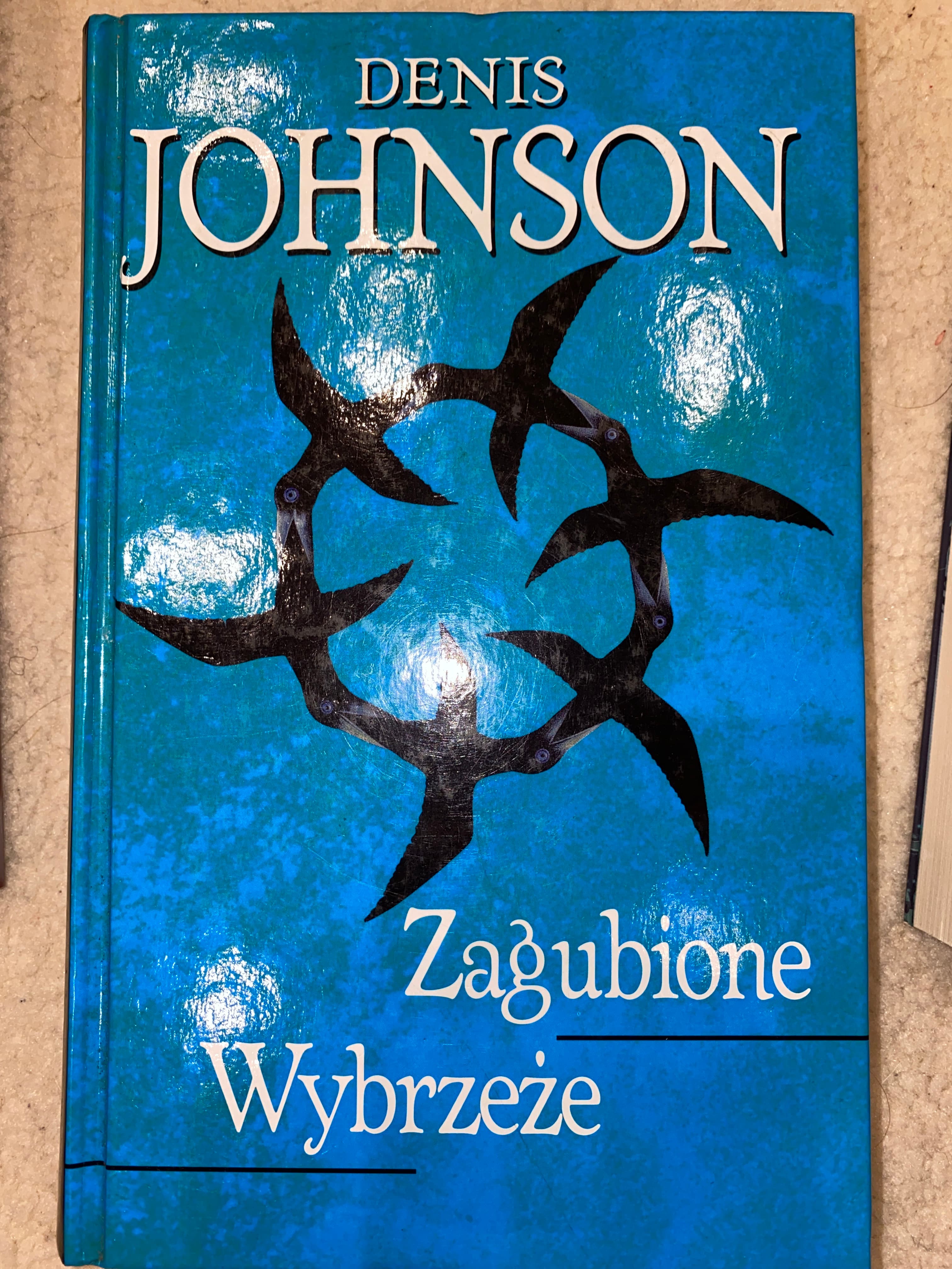 Zagubione wybrzeże