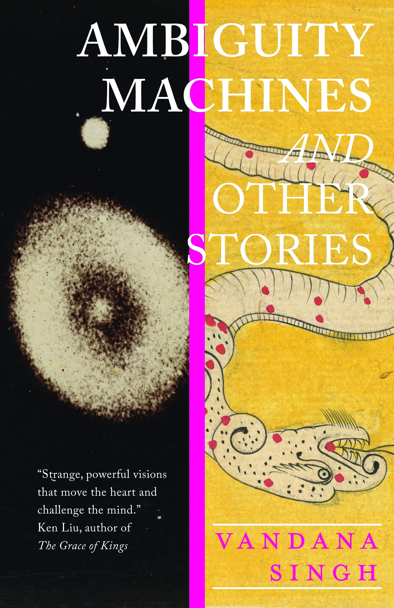 Ambiguity Machines and Other Stories