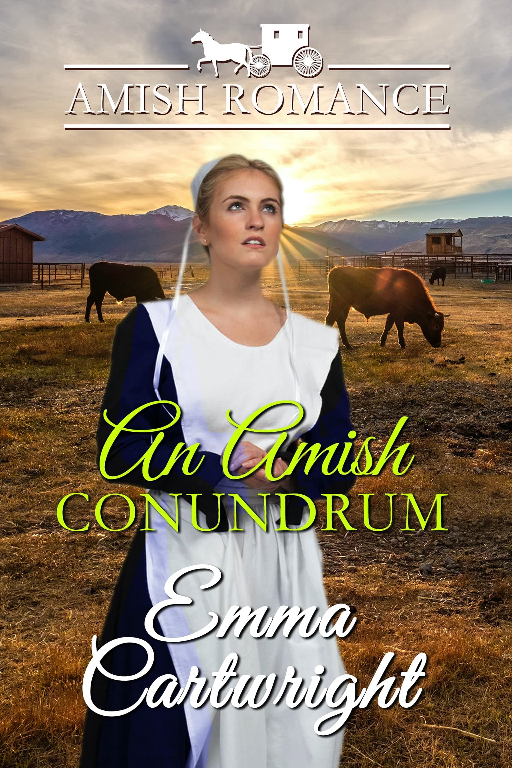 An Amish Conundrum: Amish Romance