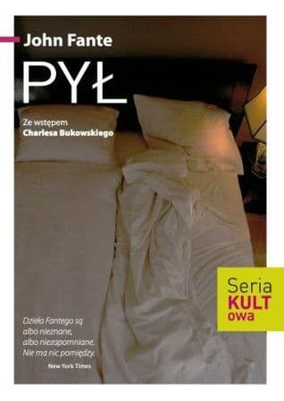 Pył