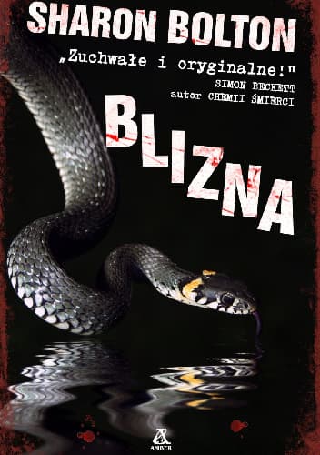 Blizna