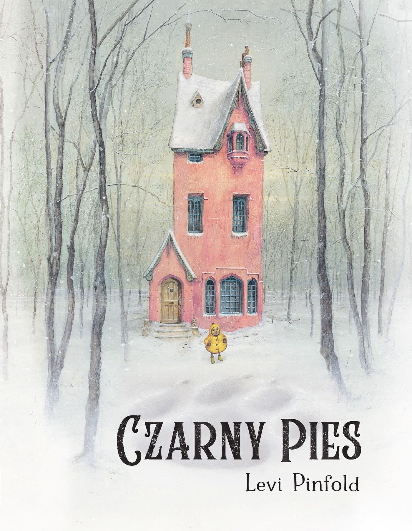 Czarny pies