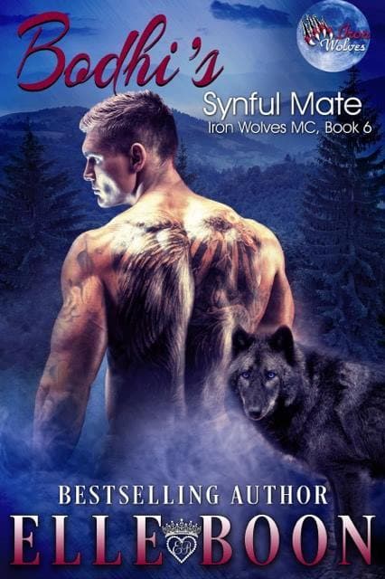 Bodhi's Synful Mate