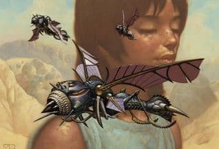 Bugs in the Arroyo