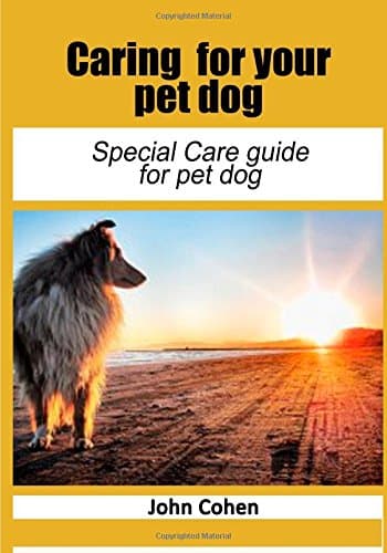 Caring for Your Pet Dog