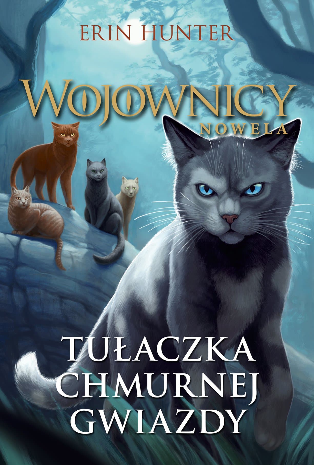 Tułaczka Chmurnej Gwiazdy