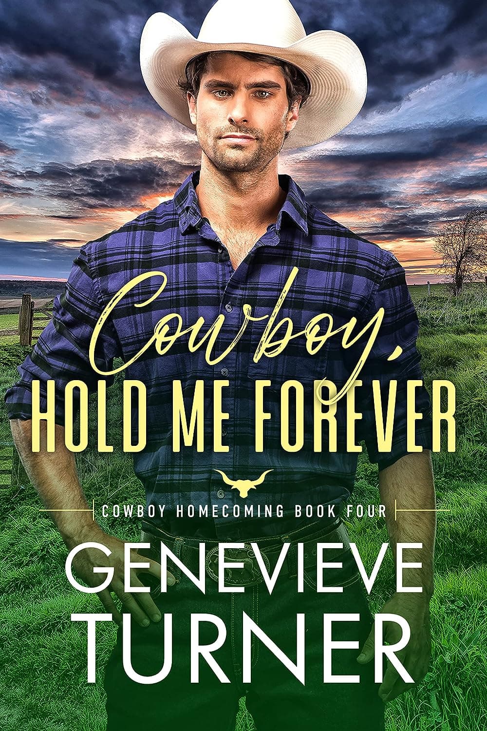 Cowboy, Hold Me Forever