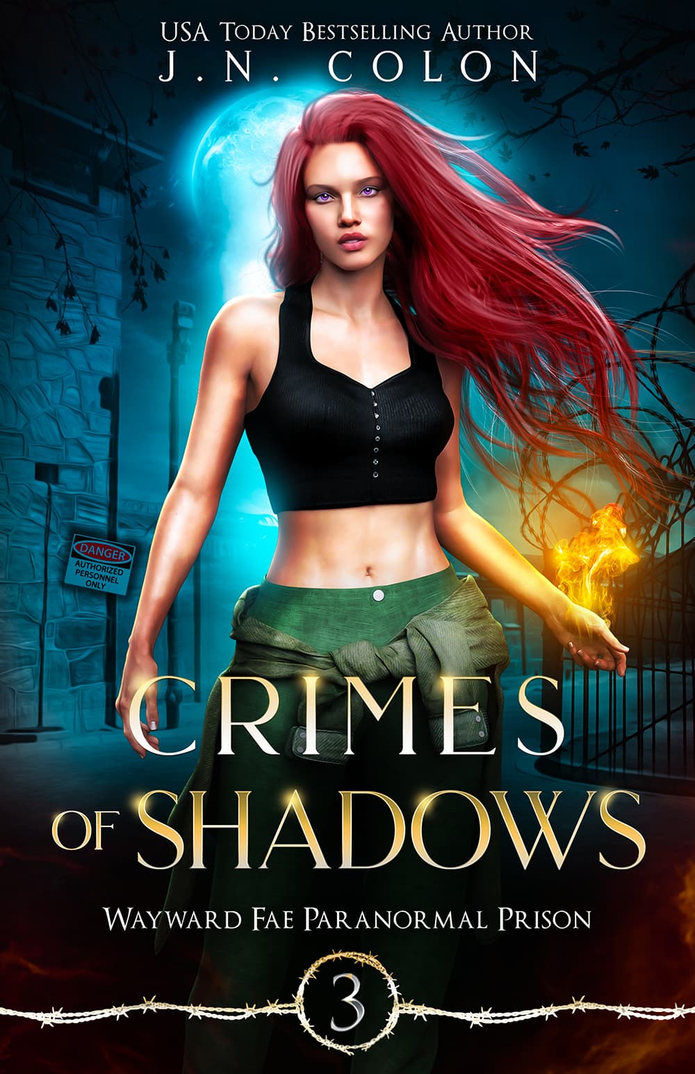 Crimes of Shadows