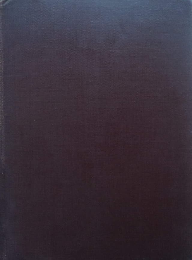 "Facies illa Rogeri maximi pictoris"