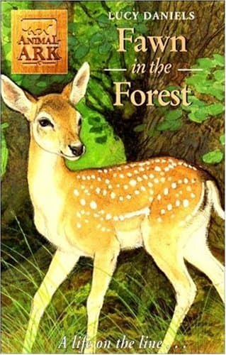 Fawn in the Forest