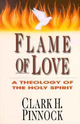 Flame of Love: A Theology of the Holy Spirit