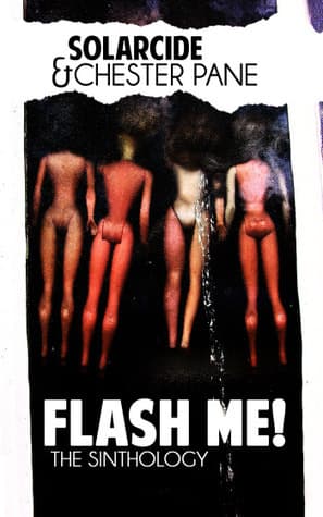 Flash Me! The Sinthology