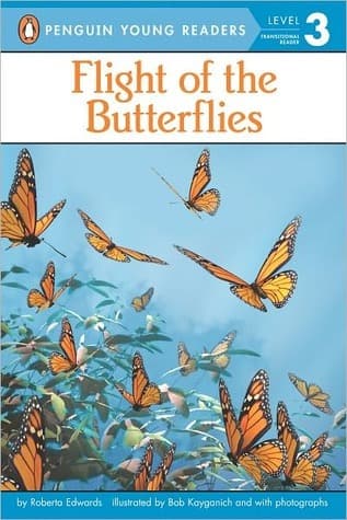Flight of the Butterflies
