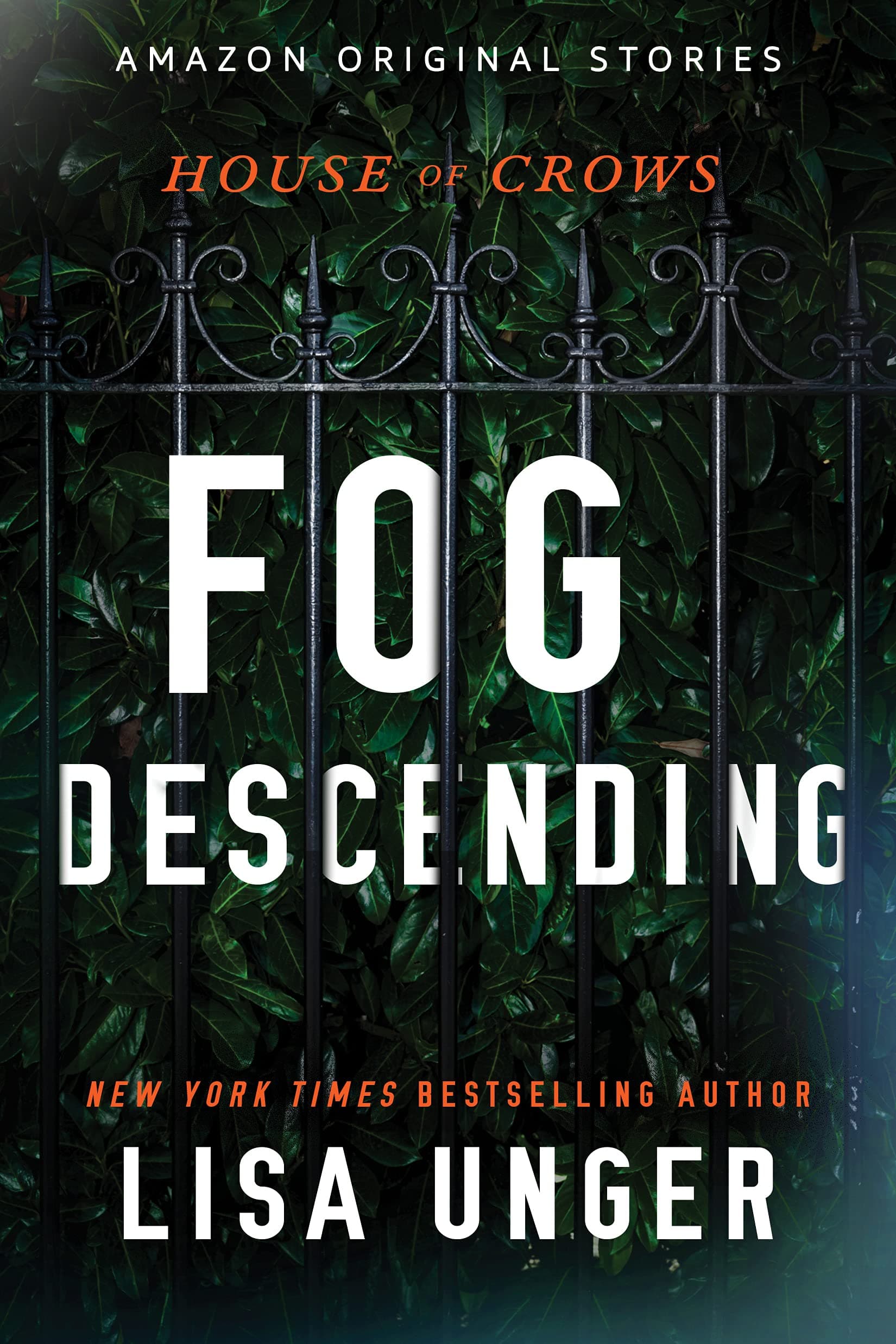 Fog Descending