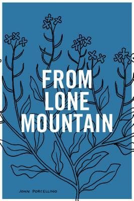 From Lone Mountain