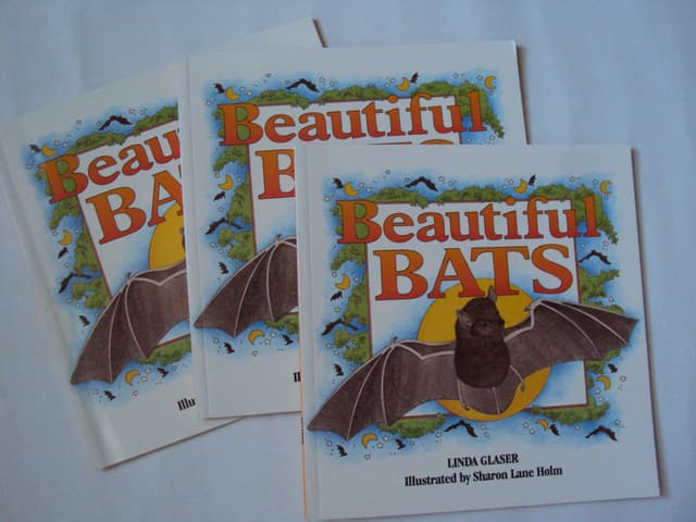 Guided Reading Set : Beautiful Bats