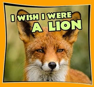 I Wish I Were a LION