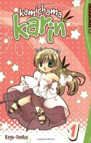 Kamichama Karin, Vol. 1
