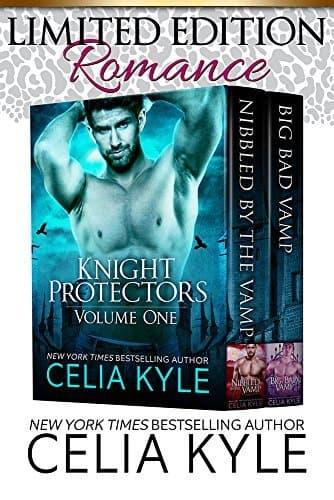 Knight Protectors Volume One