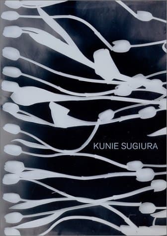 Kunie Sugiura: Dark Matters/Light Affairs
