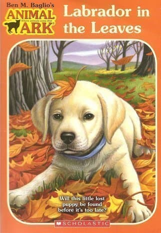Labrador in the Leaves