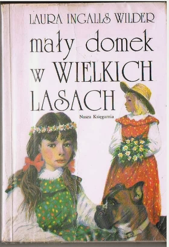 Mały domek w Wielkich Lasach
