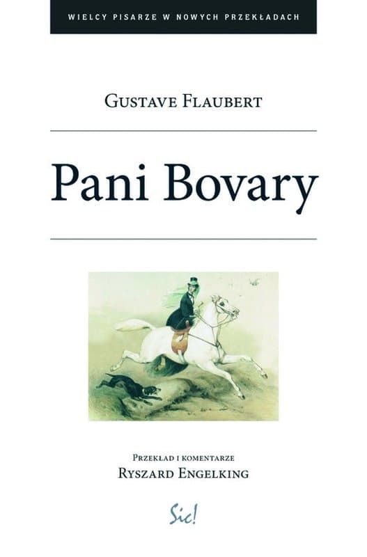 Pani Bovary. Z obyczajów prowincji