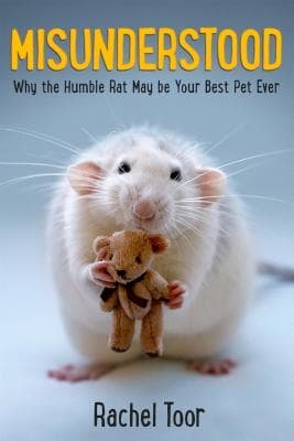 Misunderstood: A Book About Rats