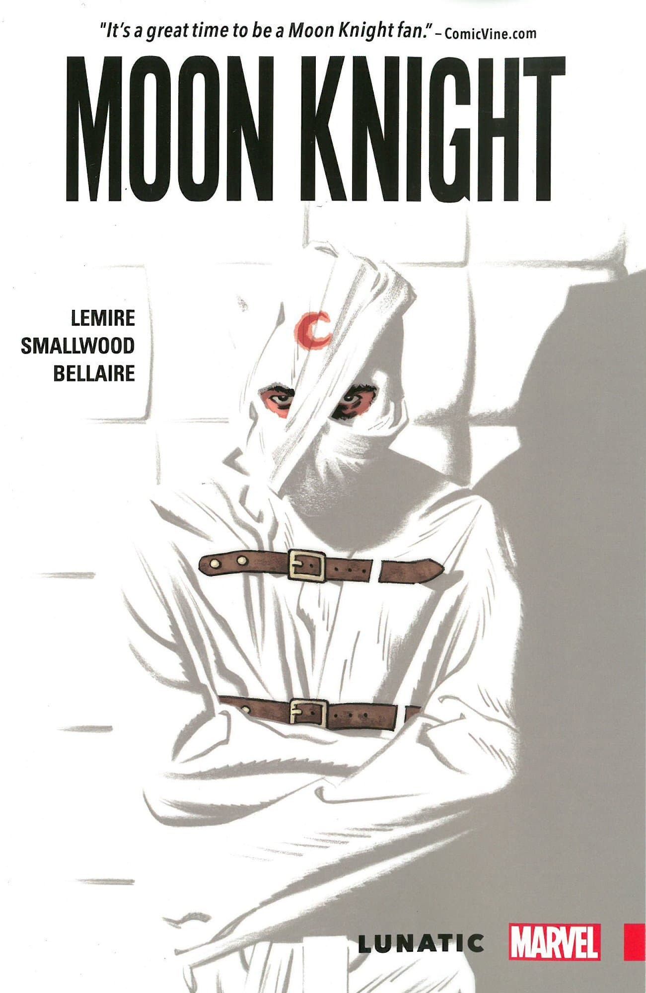 Moon Knight, Vol. 1: Lunatic