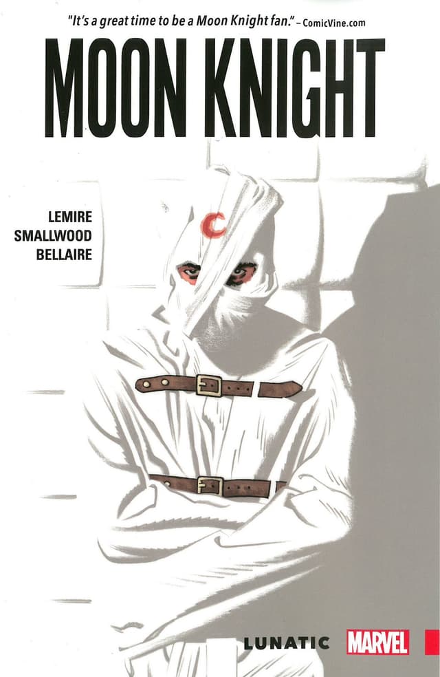 Moon Knight, Vol. 1: Lunatic