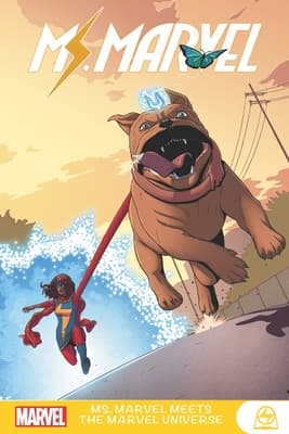 Ms. Marvel Meets the Marvel Universe