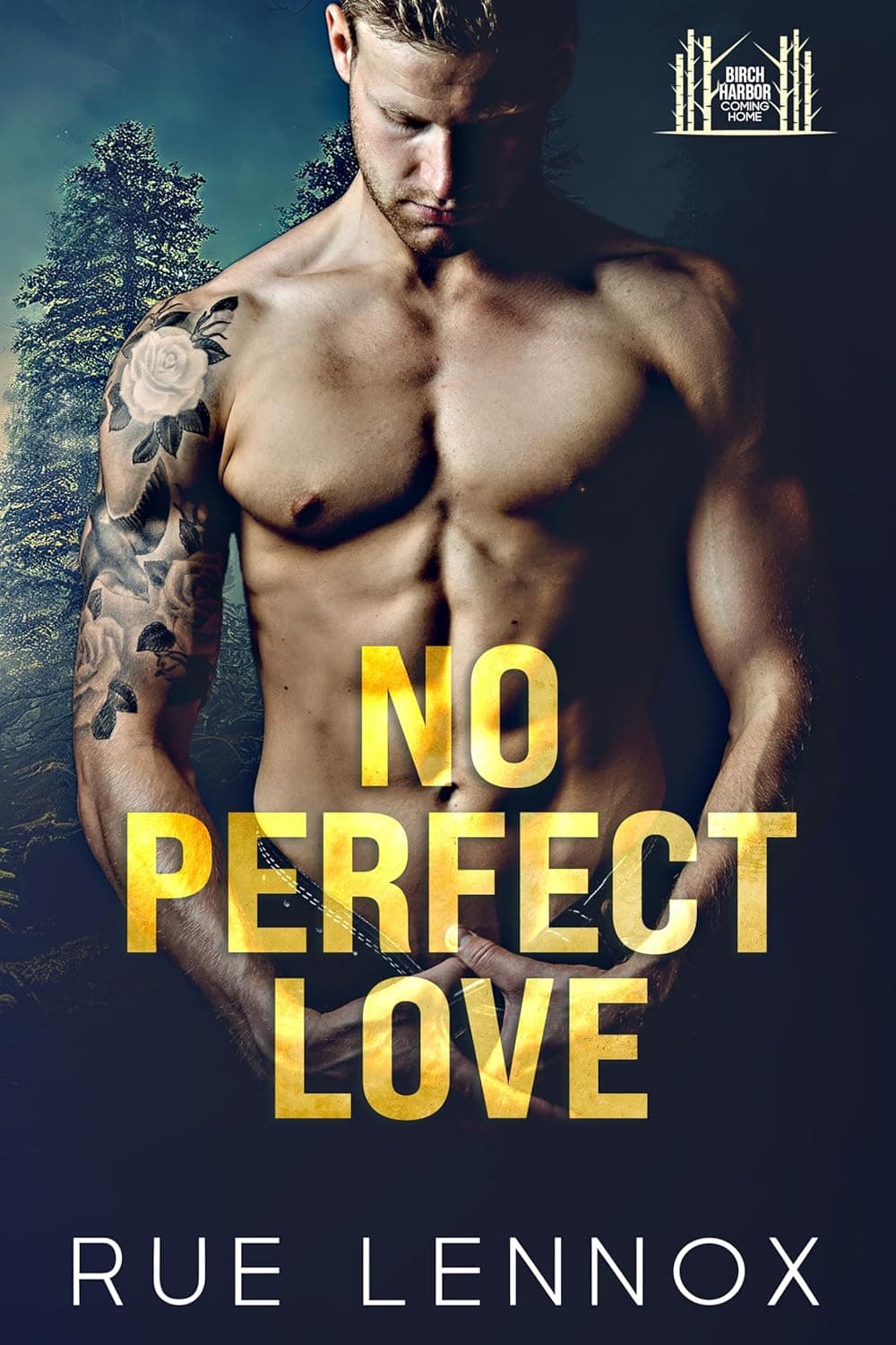 No Perfect Love