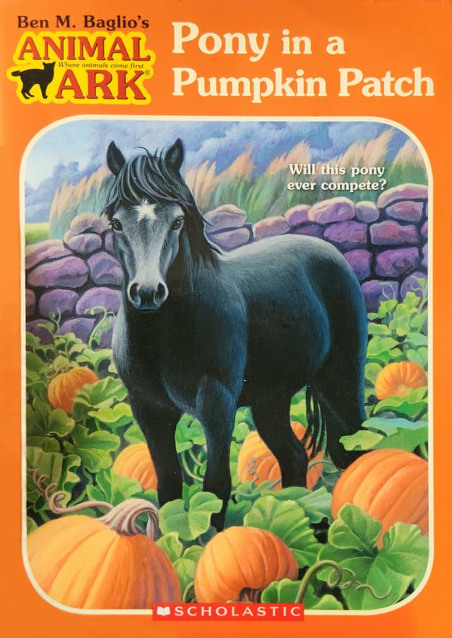 Pony in a Pumpkin Patch