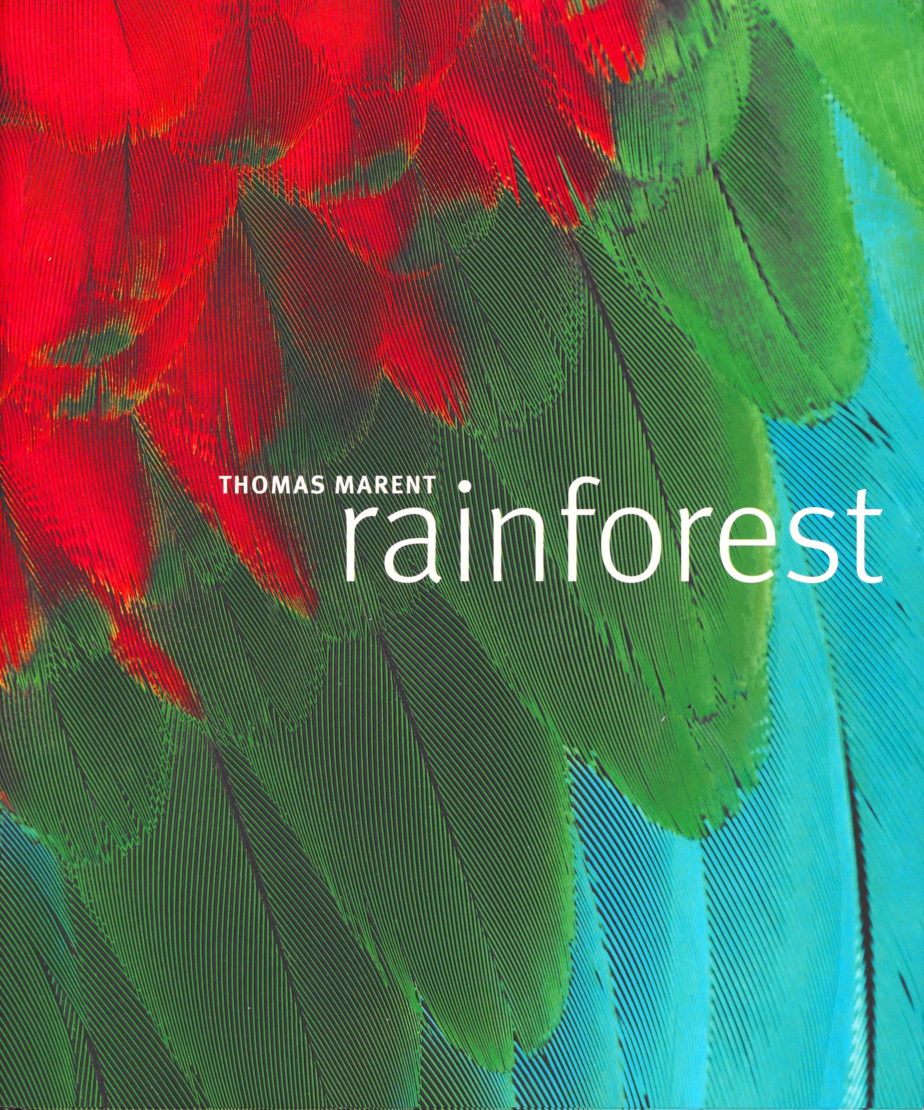 Rainforest
