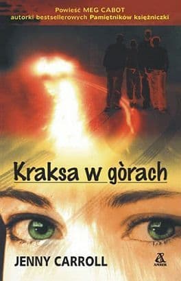 Kraksa w górach