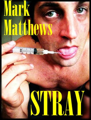 Stray