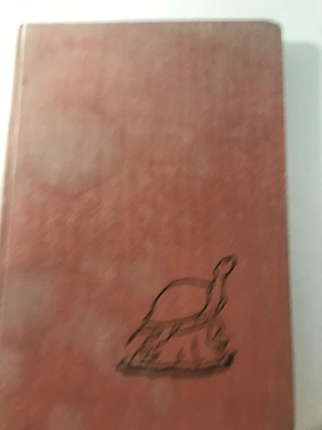 Swamp Life: An Almanac