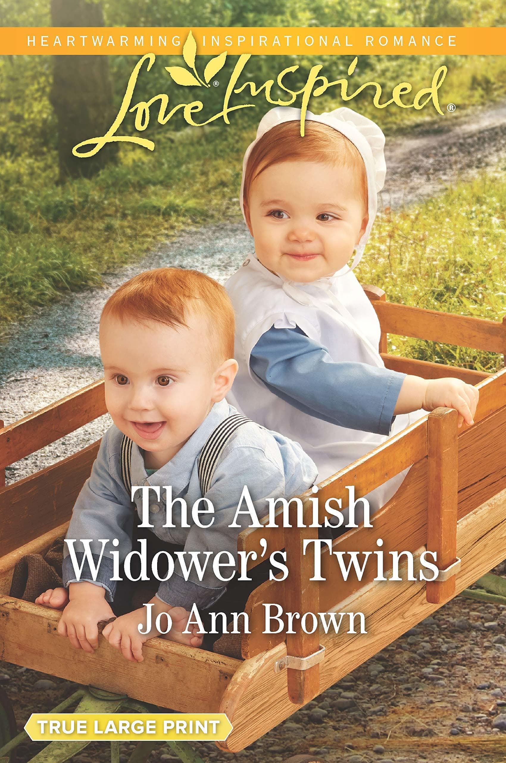 The Amish Widower's Twins