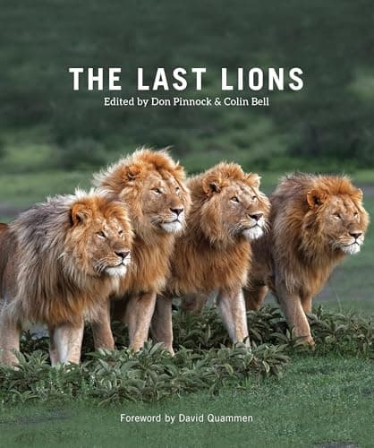 The Last Lions
