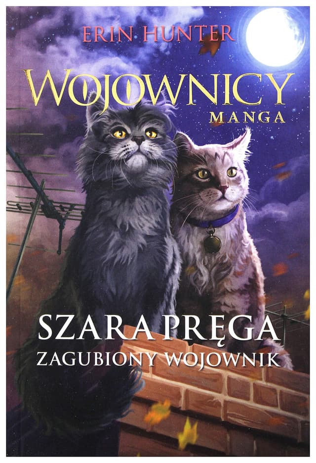 Szara prÄga. Zagubiony wojownik wojownicy manga - Erin Hunter [KSIÄĹťKA]