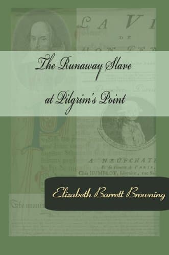 The Runaway Slave at Pilgrim's Point