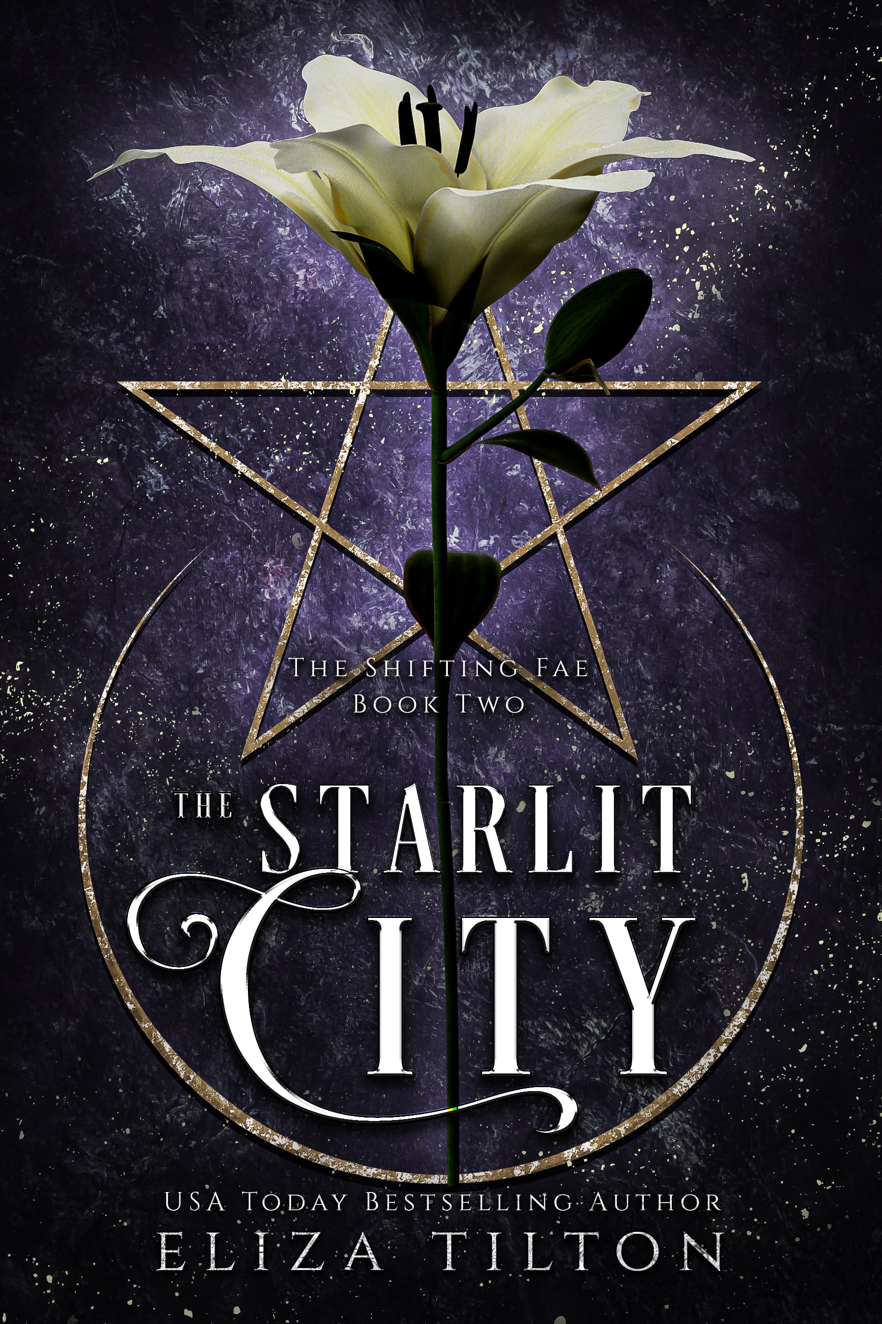 The Starlit City