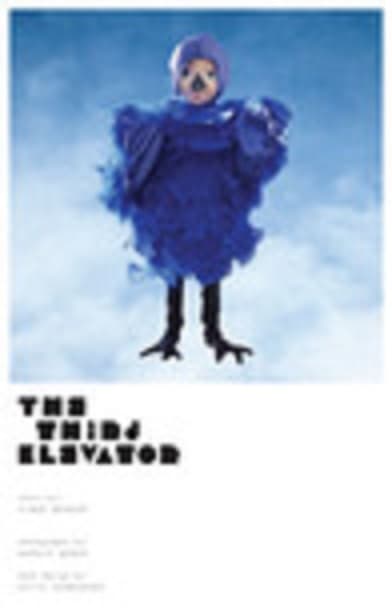 The Third Elevator