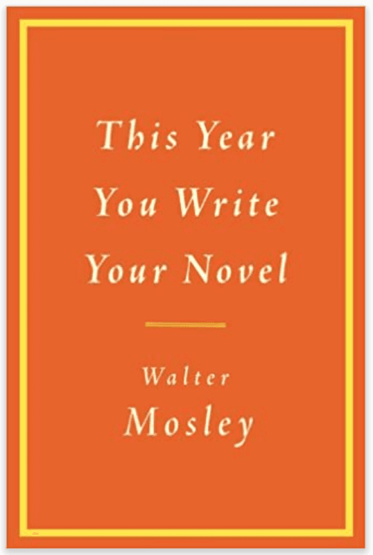 This Year You Write Your Novel